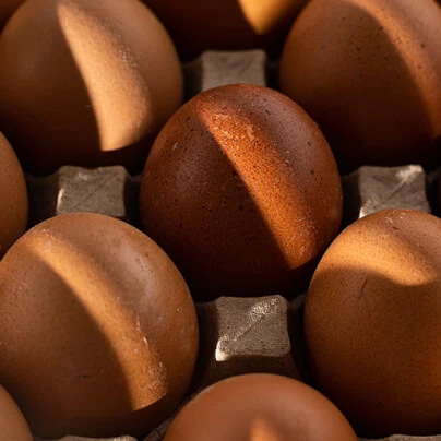 Huevos de suelo
